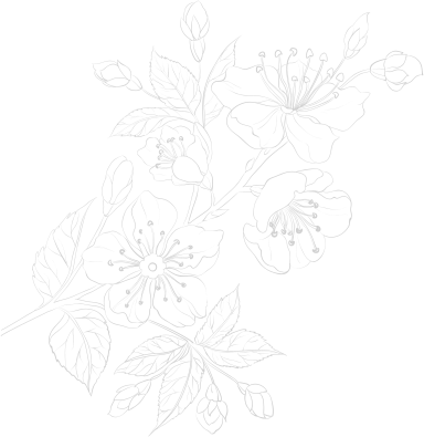about_png-4